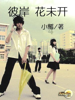 神秘的岛屿